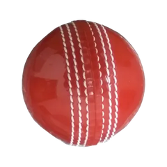 Cricketer Pro Incrediball Cricket Balls