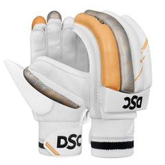 DSC Economy Kashmir Willow Cricket Kit (SH)