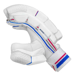 DSC Intense Passion Batting Gloves (Adult RH)