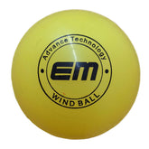EM Wind Ball Cricket Ball