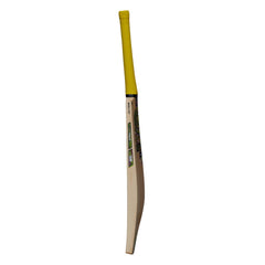 GM Psyche DXM 707 Cricket Bat (SH)