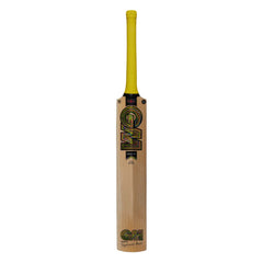 GM Psyche DXM 707 Cricket Bat (SH)