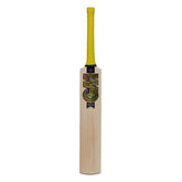 GM Psyche DXM 707 Cricket Bat (SH)