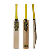 GM Psyche DXM 707 Cricket Bat (SH)
