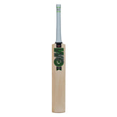 GM Verva DXM 808 Cricket Bat (SH)