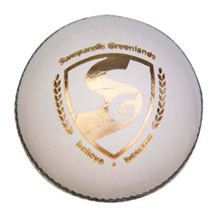 SG Tournament Cricket Leather Ball - White