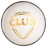 SG Club White Cricket Leather Ball