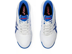 Asics Gel Peake 2 Cricket Shoes