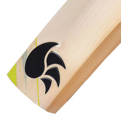 DSC Condor Winger Cricket Bat (Size 4)