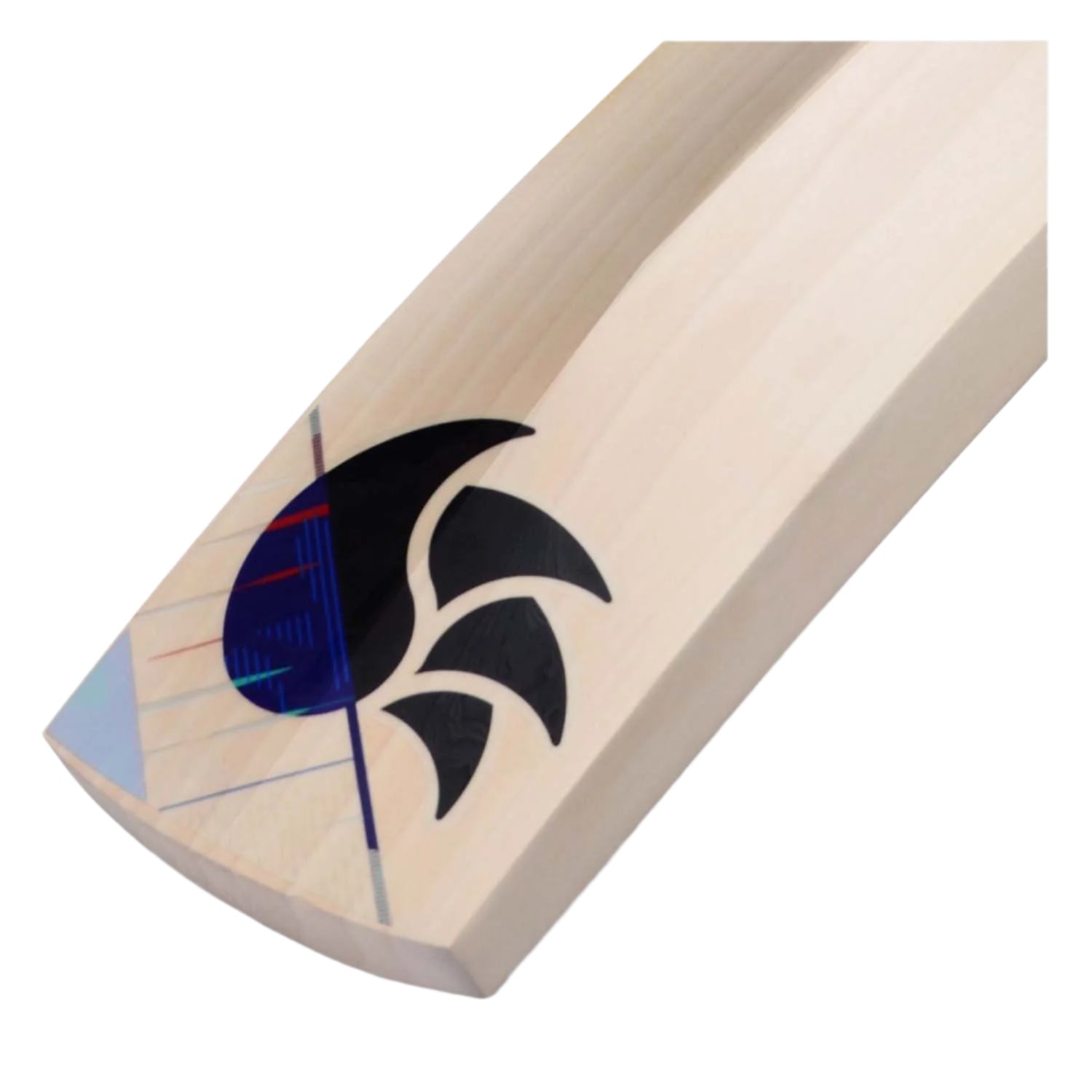 DSC Cynos 2020 Cricket Bat (SH)