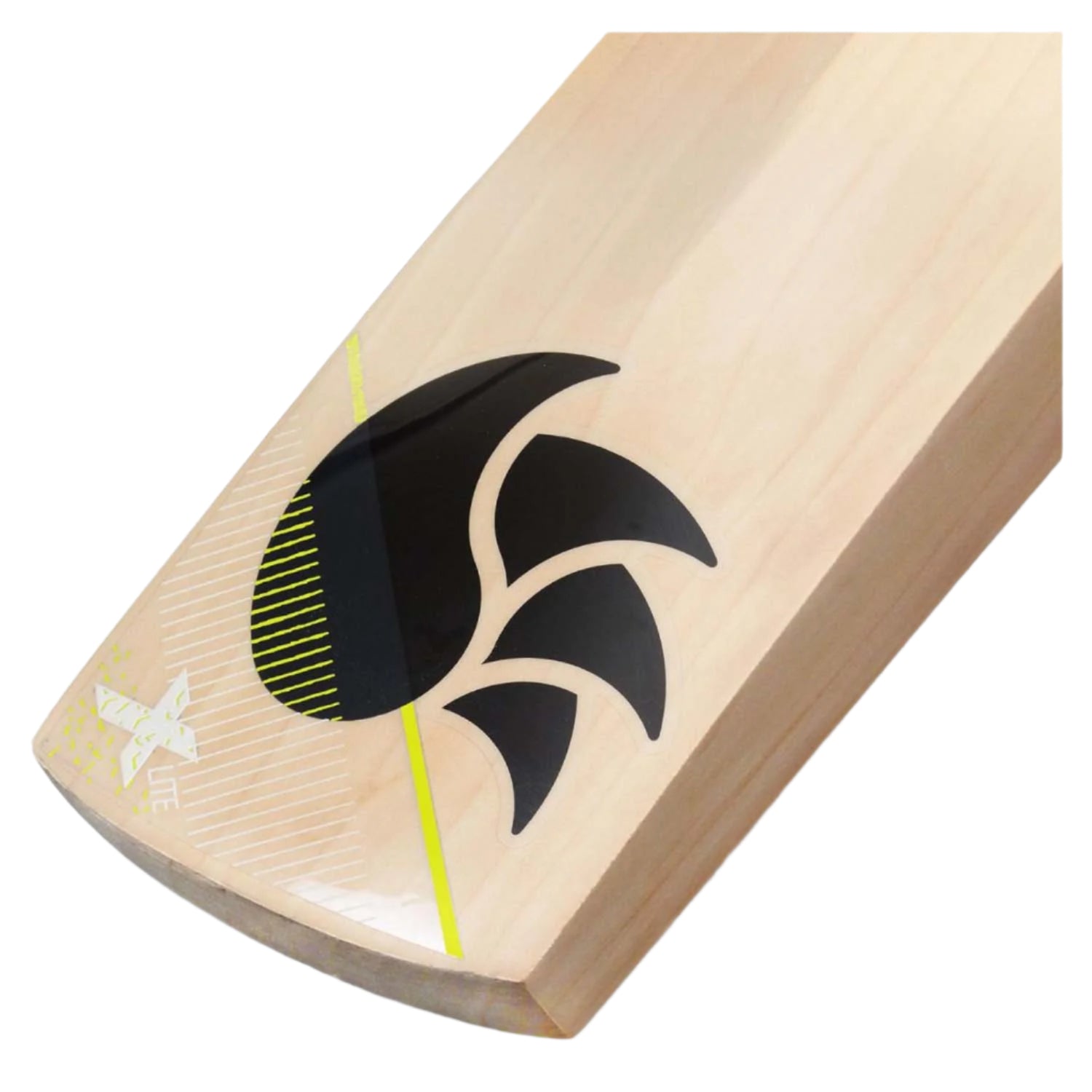 DSC Xlite 4.0 Cricket Bat (SH)