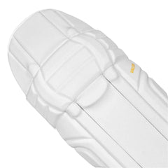 DSC Valor Batting Pads (Adult)