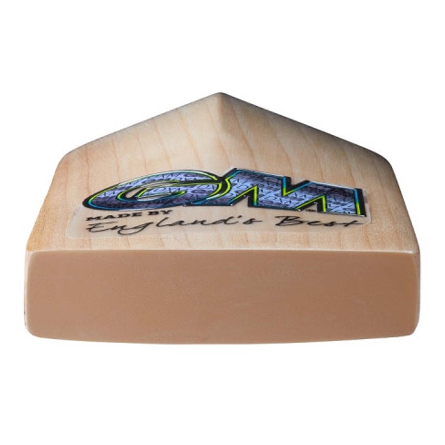 GM Aion DXM Signature Cricket Bat (SH)