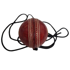 NIVI Hanging Ball