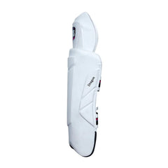 SS Dragon Wicket Keeping Pads (Adult)