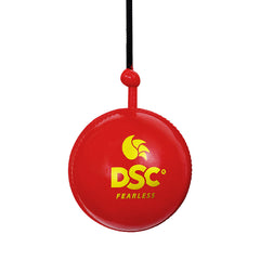 DSC Hanging Ball