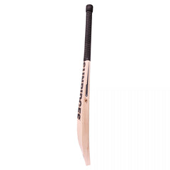 SS Ton Black Edition Cricket Bat (SH)