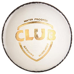 SG Club White Leather Cricket Ball